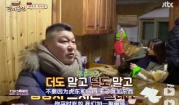 真丢人完整版在线观看,全程揭秘，网络热门事件背后的真相