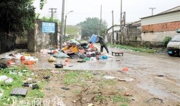 恩平爆料新闻,揭秘当地惊天大案，真相令人震惊！